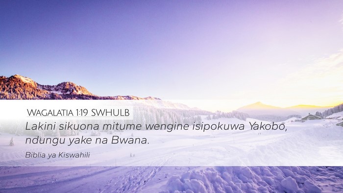 Wagalatia 1:19 SWHULB Bible Verse Image