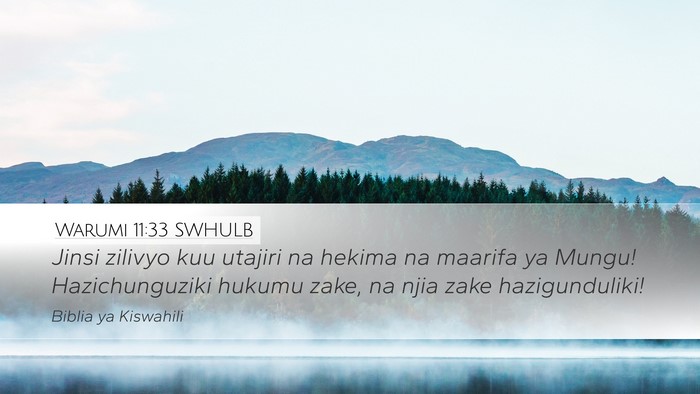 Warumi 11:33 SWHULB Bible Verse Image