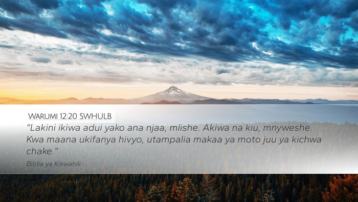 Warumi 12:20 SWHULB Bible Verse Image