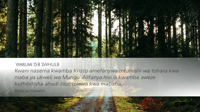 Warumi 15:8 SWHULB Bible Verse Image