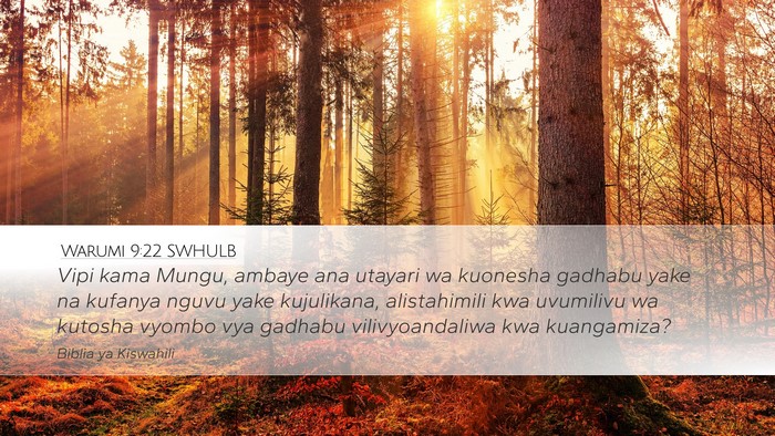 Warumi 9:22 SWHULB Bible Verse Image