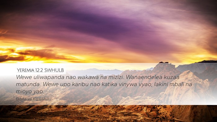Yeremia 12:2 SWHULB Bible Verse Image