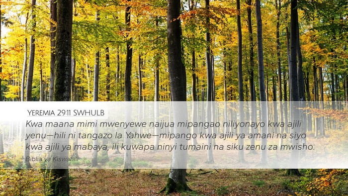 Yeremia 29:11 SWHULB Bible Verse Image