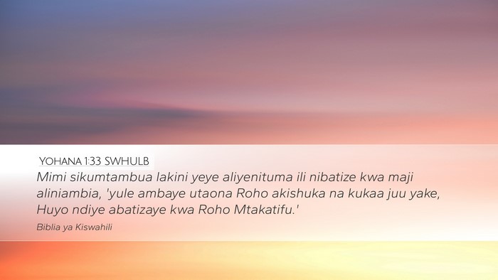 Yohana 1:33 SWHULB Bible Verse Image