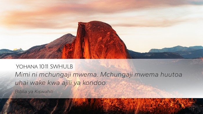 Yohana 10:11 SWHULB Bible Verse Image
