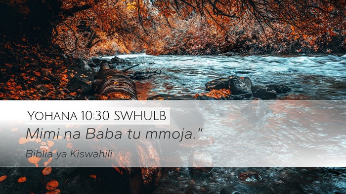 Yohana 10:30 SWHULB Bible Verse Image
