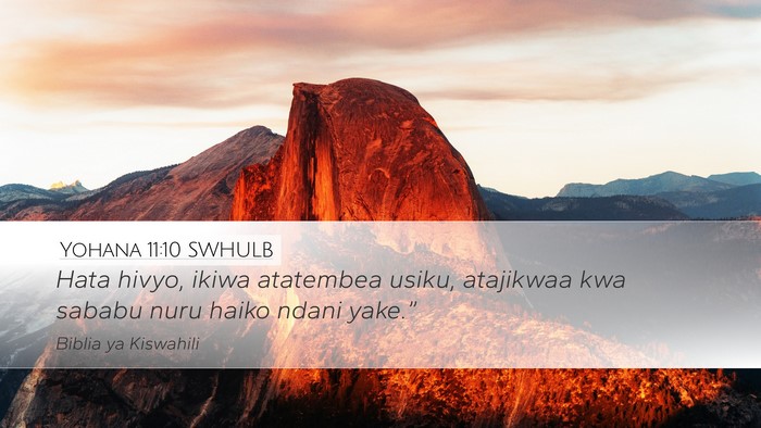 Yohana 11:10 SWHULB Bible Verse Image