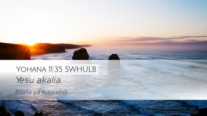 Yohana 11:35 SWHULB Bible Verse Image