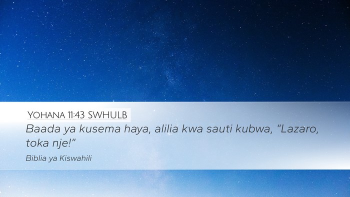 Yohana 11:43 SWHULB Bible Verse Image