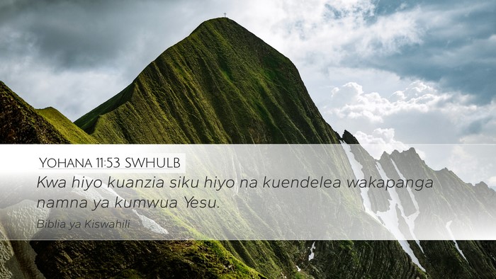 Yohana 11:53 SWHULB Bible Verse Image