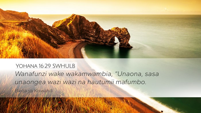 Yohana 16:29 SWHULB Bible Verse Image