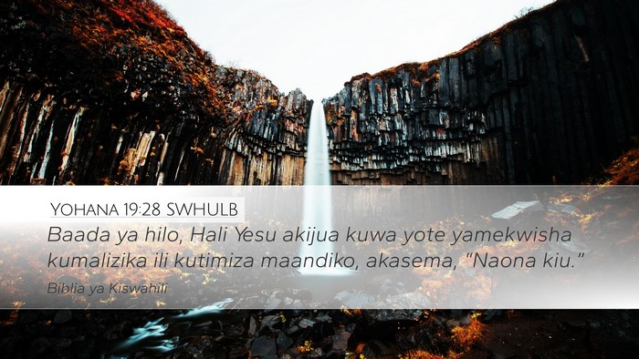 Yohana 19:28 SWHULB Bible Verse Image