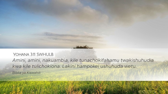 Yohana 3:11 SWHULB Bible Verse Image
