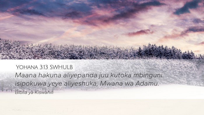Yohana 3:13 SWHULB Bible Verse Image
