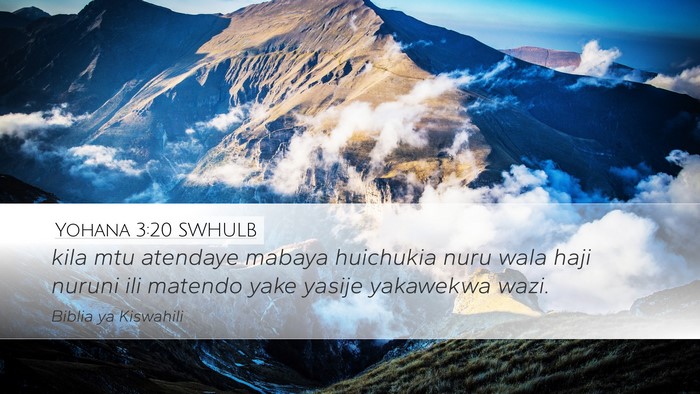 Yohana 3:20 SWHULB Bible Verse Image