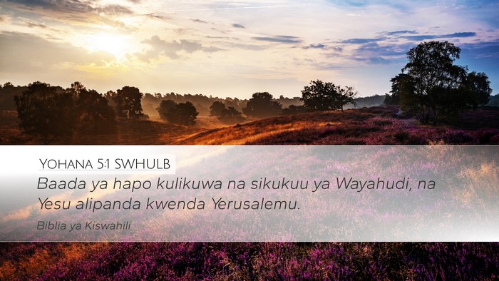 Yohana 5:1 SWHULB Desktop Wallpaper - Baada ya hapo kulikuwa na sikukuu ya Wayahudi, na - Desktop Bible Verse Wallpaper