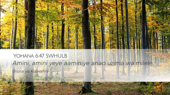 Yohana 6:47 SWHULB Bible Verse Image