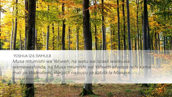 Yoshua 12:6 SWHULB Bible Verse Image