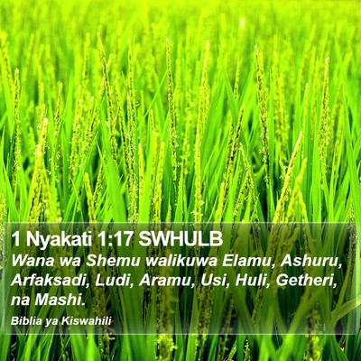 1 Nyakati 1:17 SWHULB Bible Verse Image