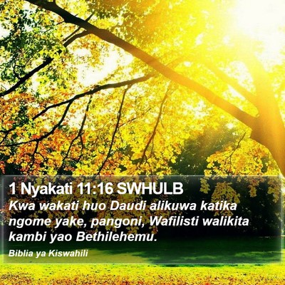 1 Nyakati 11:16 SWHULB Bible Verse Image