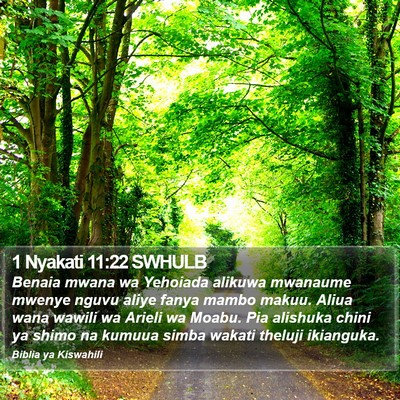 1 Nyakati 11:22 SWHULB Bible Verse Image