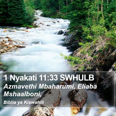1 Nyakati 11:33 SWHULB Bible Verse Image