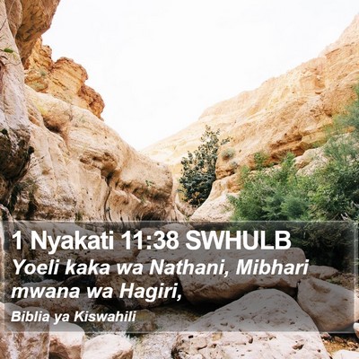 1 Nyakati 11:38 SWHULB Bible Verse Image