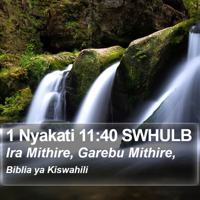 1 Nyakati 11:40 SWHULB Bible Verse Image