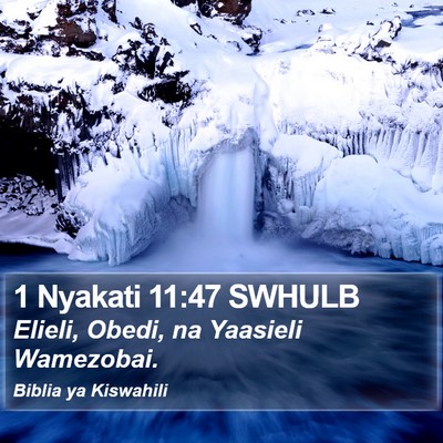 1 Nyakati 11:47 SWHULB Bible Verse Image