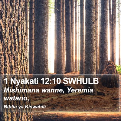 1 Nyakati 12:10 SWHULB Bible Verse Image