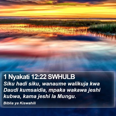 1 Nyakati 12:22 SWHULB Bible Verse Image