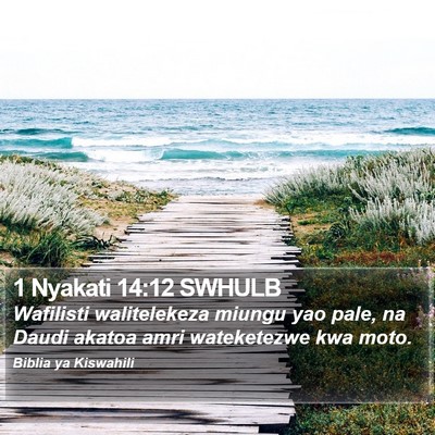 1 Nyakati 14:12 SWHULB Bible Verse Image