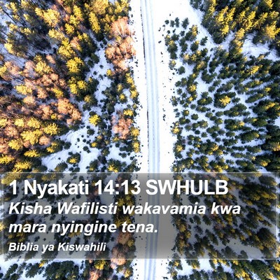 1 Nyakati 14:13 SWHULB Bible Verse Image