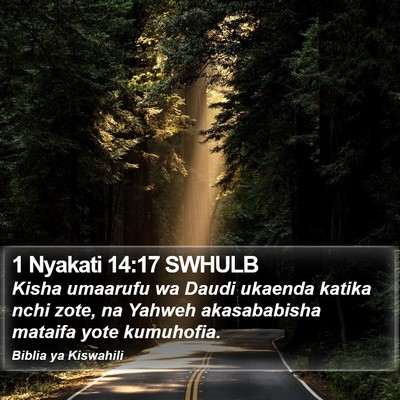 1 Nyakati 14:17 SWHULB Bible Verse Image