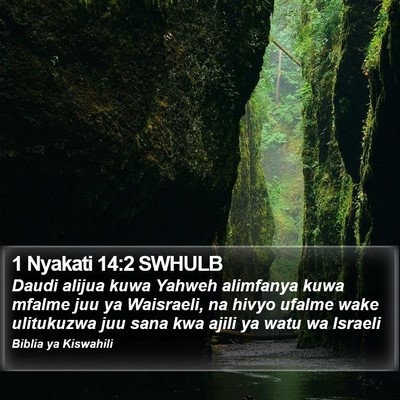 1 Nyakati 14:2 SWHULB Bible Verse Image