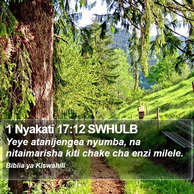 1 Nyakati 17:12 SWHULB Bible Verse Image