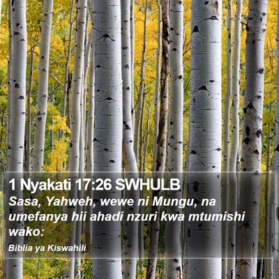 1 Nyakati 17:26 SWHULB Bible Verse Image