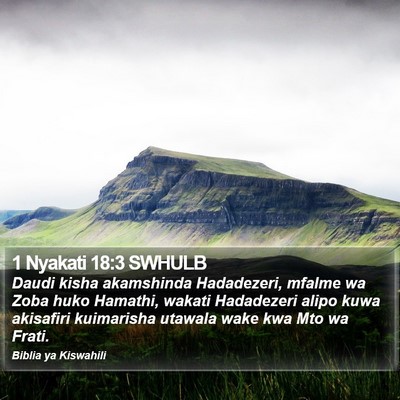 1 Nyakati 18:3 SWHULB Bible Verse Image