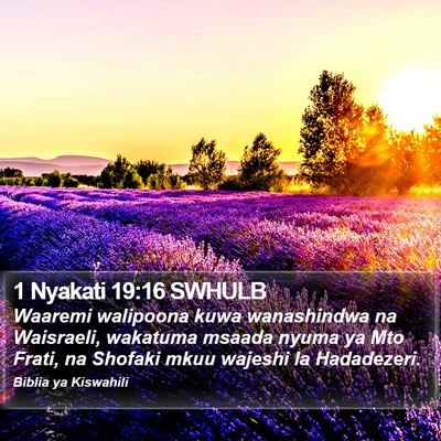 1 Nyakati 19:16 SWHULB Bible Verse Image