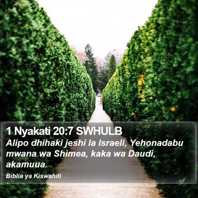 1 Nyakati 20:7 SWHULB Bible Verse Image