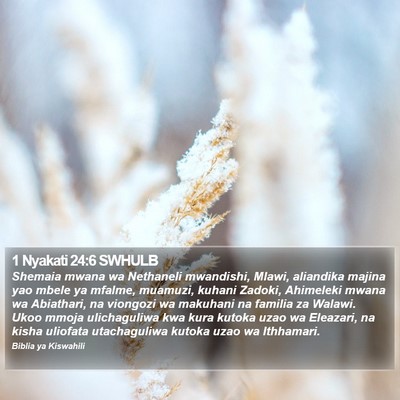 1 Nyakati 24:6 SWHULB Bible Verse Image
