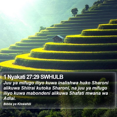 1 Nyakati 27:29 SWHULB Bible Verse Image