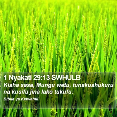 1 Nyakati 29:13 SWHULB Bible Verse Image