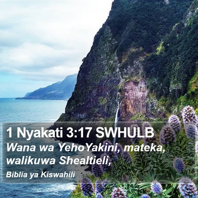 1 Nyakati 3:17 SWHULB Bible Verse Image