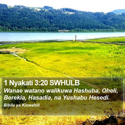 1 Nyakati 3:20 SWHULB Bible Verse Image