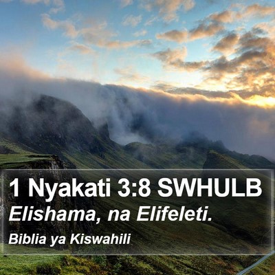 1 Nyakati 3:8 SWHULB Bible Verse Image