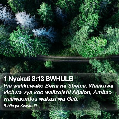 1 Nyakati 8:13 SWHULB Bible Verse Image