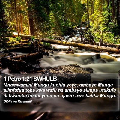 1 Petro 1:21 SWHULB Bible Verse Image