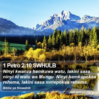 1 Petro 2:10 SWHULB Bible Verse Image