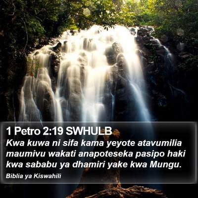 1 Petro 2:19 SWHULB Bible Verse Image